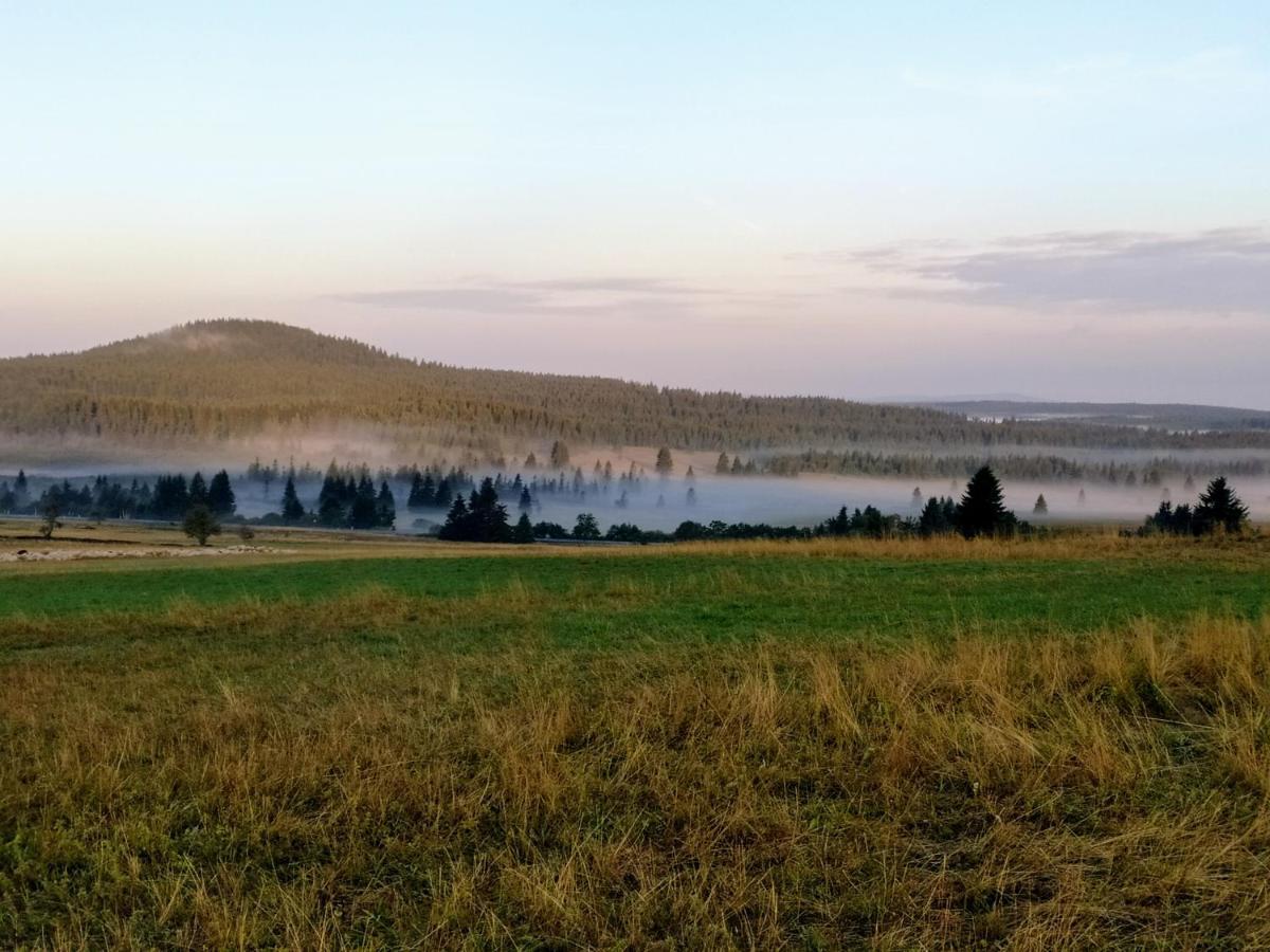 Apartmány u Torína Boží Dar Esterno foto